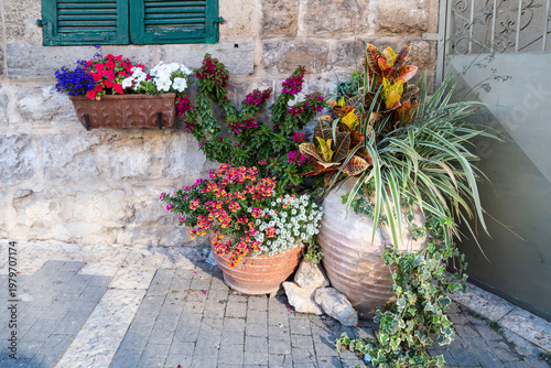 Large clay pots with colorful croton and blooming flowers near a stone wall with green shutters.