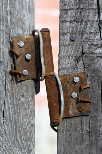 Tableau sur toile The rusted gudeon