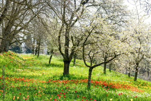 Frühling