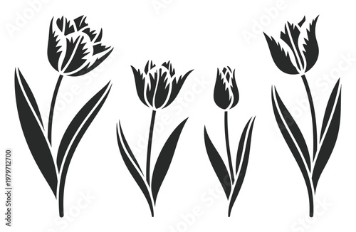 Black and White Tulip Silhouettes with Varying Stages of Bloom