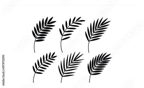 Black Silhouette Palm Fronds on a White Background