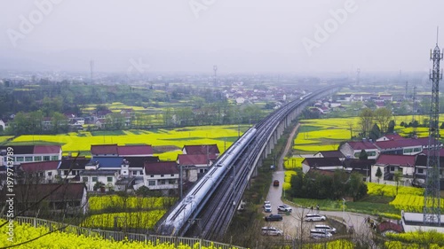 High-speed train in a sea of rapeseed flowers.