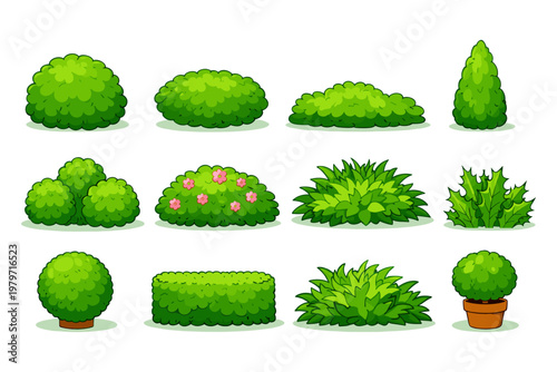 Collection of diverse cartoon green bushes and shrubs for garden design