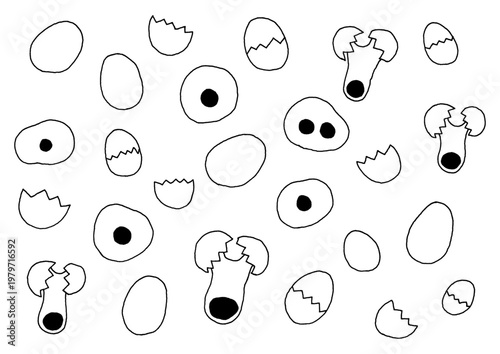 様々な状態の卵の手描きイラストセット（背景透過）