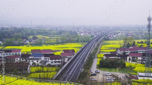 High-speed train in a sea of rapeseed flowers.