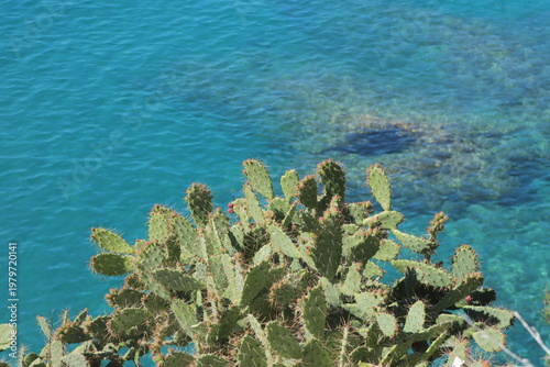 En las playas italianas llamadas 