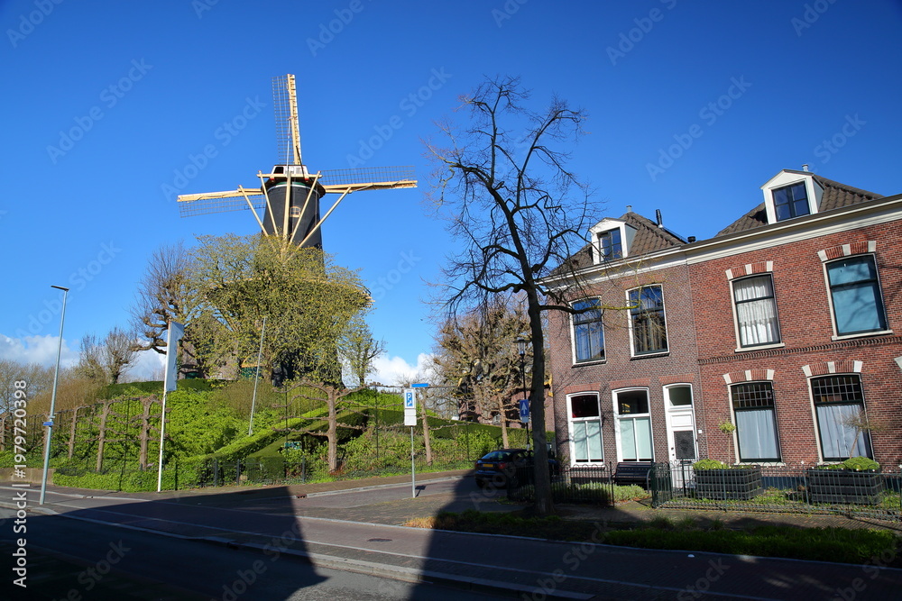 Obraz premium The windmill Windhond (built in 1755) and historic houses in Woerden, Utrecht, Netherlands
