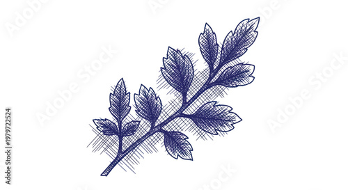 Hand-drawn botanical illustration of a single leafy branch.
