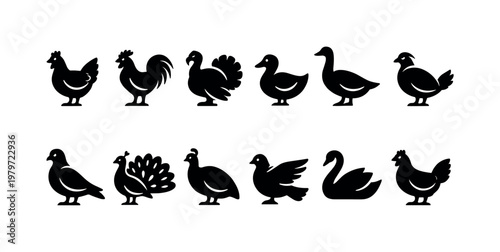 Collection of black silhouette icons representing various domestic and wild birds on a white background
