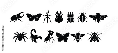 Collection of black insect silhouettes including beetles, butterflies, scorpions, and spiders
