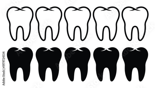 Five White and Five Black Tooth Arranged in Two Rows