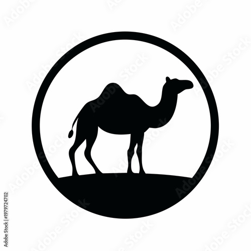 camel in desert vector illustration