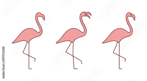 Three Pink Flamingos Standing on One Leg, One with Open Beak
