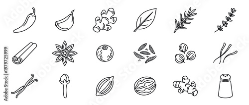 Collection of various hand-drawn line art spice and herb icons, including chili, garlic, ginger, and rosemary, presented in a clean, minimalist style