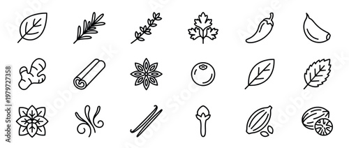 Collection of various outline icons representing different herbs, spices, and natural ingredients in a clean, minimalist style