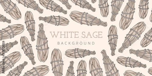 Background with hand-drawn white sage and centered text “White Sage Background”. Ideal for branding, packaging, posters, social media, and wellness or herbal-themed designs.