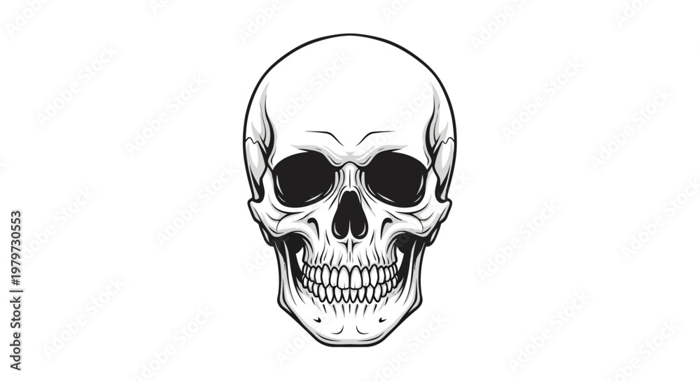 Fototapeta premium Human Skull Illustration Closeup View.