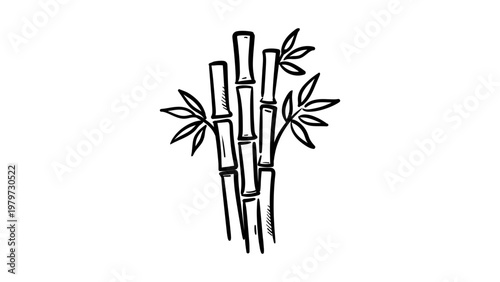 Minimalist black line vector icon illustration of bamboo stalks with leaves, hand-drawn style on a white background, scalable SVG graphic for nature, spa, zen, and Asian culture design projects.