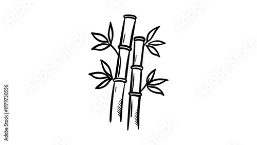 Photos Minimalist black line vector illustration of bamboo stalks with leaves, hand-drawn outline icon on a white background, perfect for zen, nature, spa, and Asian-themed graphic design projects