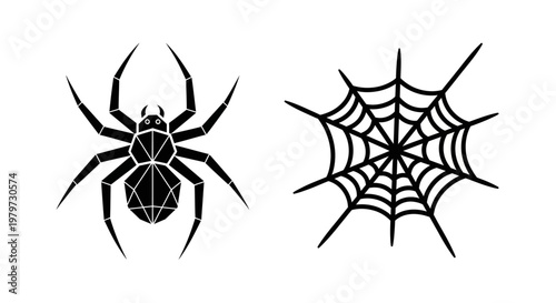 Black spider and web silhouette.