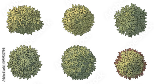 African safari zoo map with wild animals, cartoon savanna landscape with lions elephants and giraffes, wildlife park vector illustration for kids