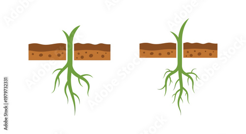 Green plant roots growing downwards deep.