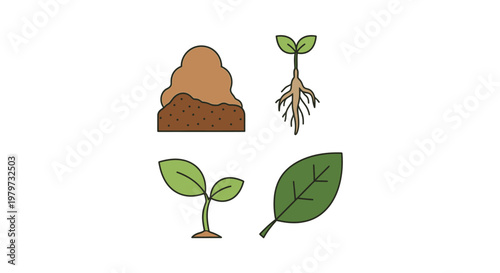 Green leaf and seedling plants growing.