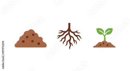 Soil pile and plant growth stages.