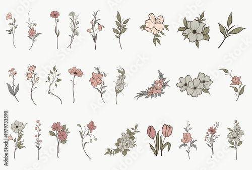 Collection of Hand Drawn Floral Botanical Elements, Vintage Wildflower Line Art Sketches for Wedding Invitations, Greeting Cards, and Branding