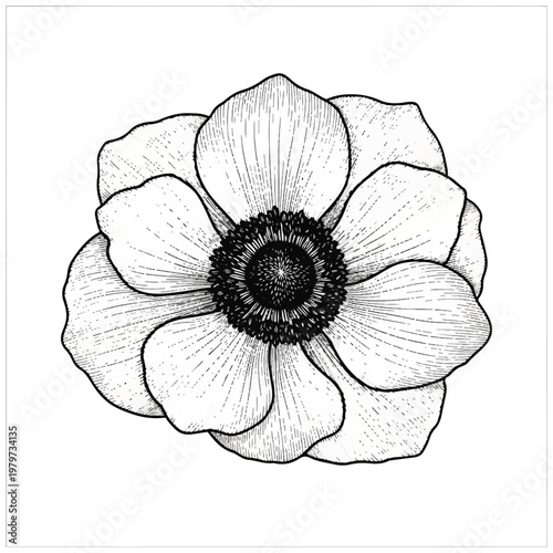 Detailed Illustration of a Flower.