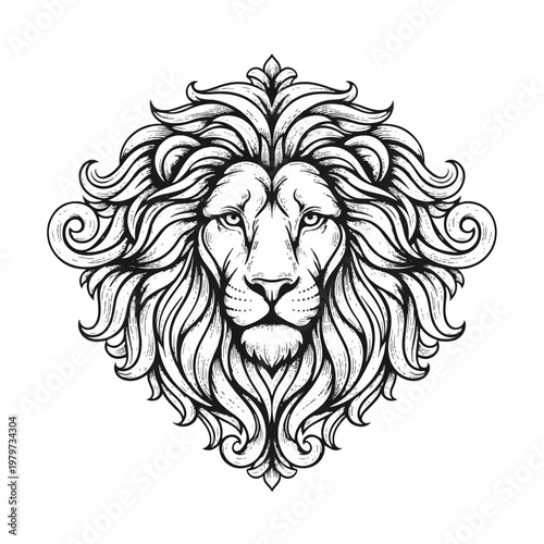Detailed illustration of a lion head 1.