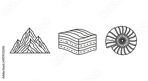 Fossil Ammonite and Rock Layers.