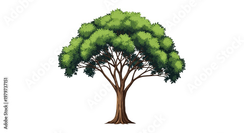 Large Tree with Green Leaves Illustration.