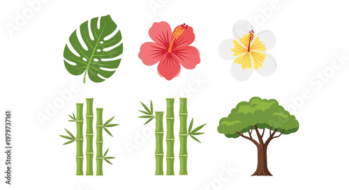 Tropical plants and tree illustrations.