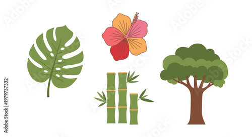 Tropical plants and tree icons.