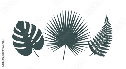 Dark green tropical leaf shapes.