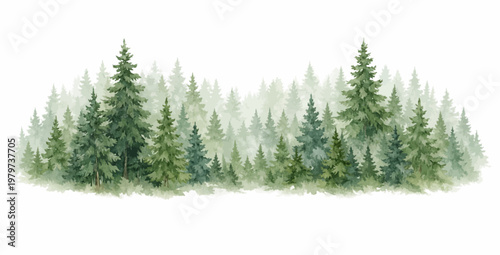 A serene watercolor coniferous forest of layered evergreen pine trees in soft green tones, featuring tall firs and snowy woodland foliage in a misty natural landscape.