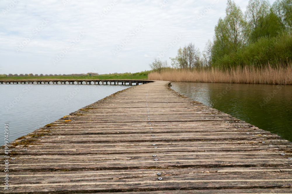 Fototapeta premium Curving Wooden Boardwalk Over Marsh Lakeside Pathway With Reeds And Trees On Overcast Day