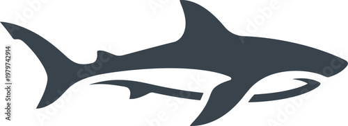 Sleek shark silhouette with white belly highlight vector can Editable