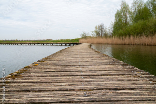 Curving Wooden Boardwalk Over Marsh Lakeside Pathway With Reeds And Trees On Overcast Day