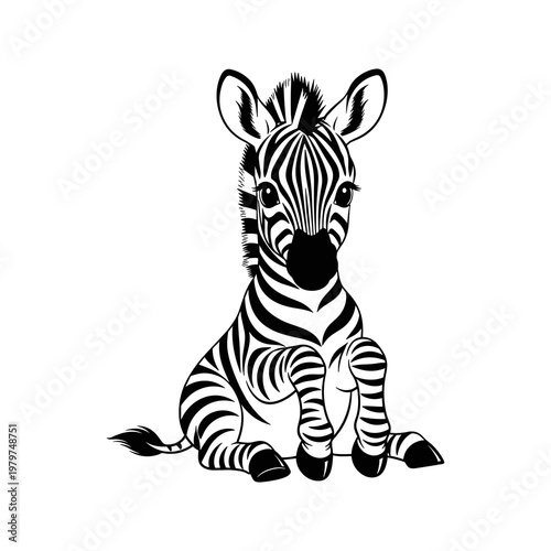 Cute Black and White Zebra Sitting.