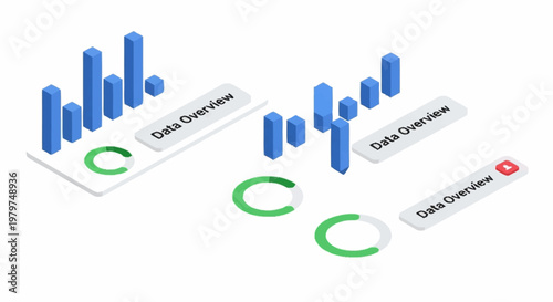 Graphic representation of data overview statistics.