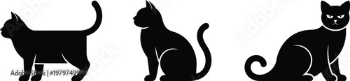 Set of black cat silhouettes in various poses including standing and sitting representing domestic pets feline animals veterinary care and Halloween theme vector illustration.