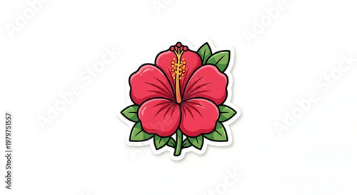 Bright Hibiscus Floral Illustration for Summer Design