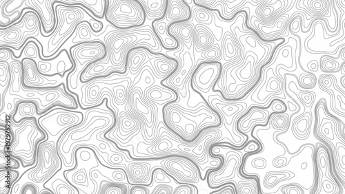 White wave paper curved reliefs abstract background, Abstract topographic contours map background, Topography map background. Vector geographic contour map