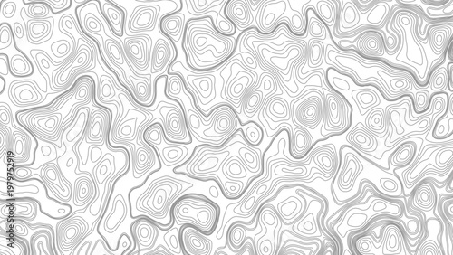 White wave paper curved reliefs abstract background, Abstract topographic contours map background, Topography map background. Vector geographic contour map