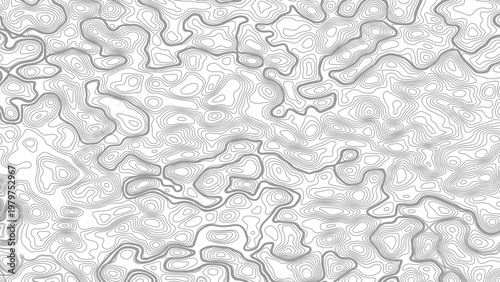 White wave paper curved reliefs abstract background, Abstract topographic contours map background, Topography map background. Vector geographic contour map
