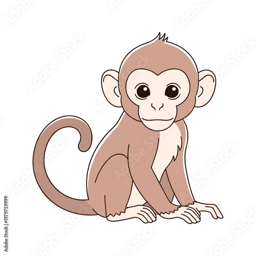 Cute little monkey sitting down.
