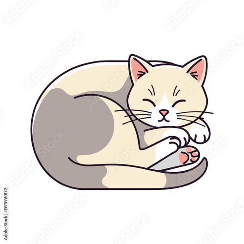 Sleeping Cat Curled Up Tightly.