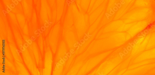 Foto Macro Close-up of Fresh Orange Pulp Texture with Backlight,An extreme macro shot of a citrus fruit slice, showing the detailed texture of juice vesicles and fibers